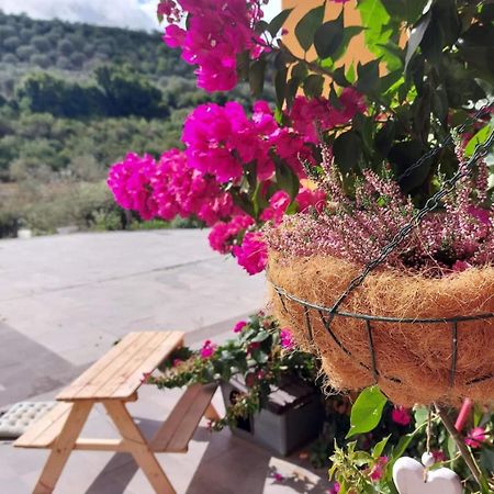Villa I Sogni Sennori Esterno foto